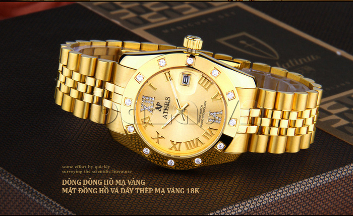Đồng hồ nam Aiers B142G với mặt và dây thép mạ vàng 18K 