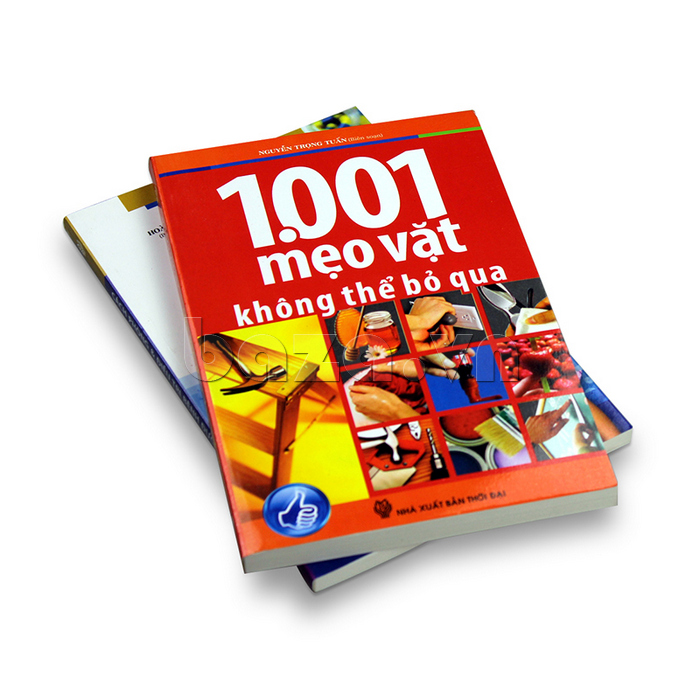 1001 mẹo vặt không thể bỏ qua - sách hay nên đọc