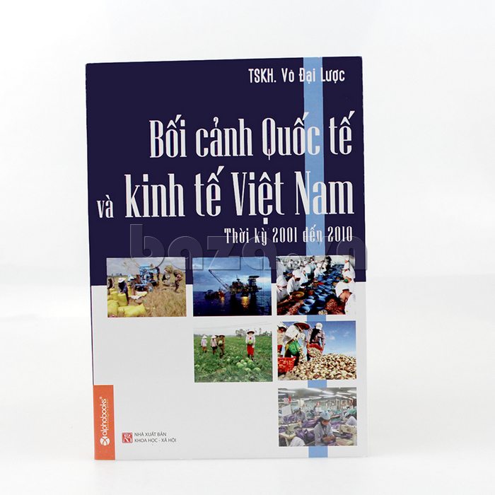 Sách kinh tế "Bối cảnh Quốc tế và kinh tế Việt Nam thời kỳ 2001 - 2010" - Võ Đại Lược