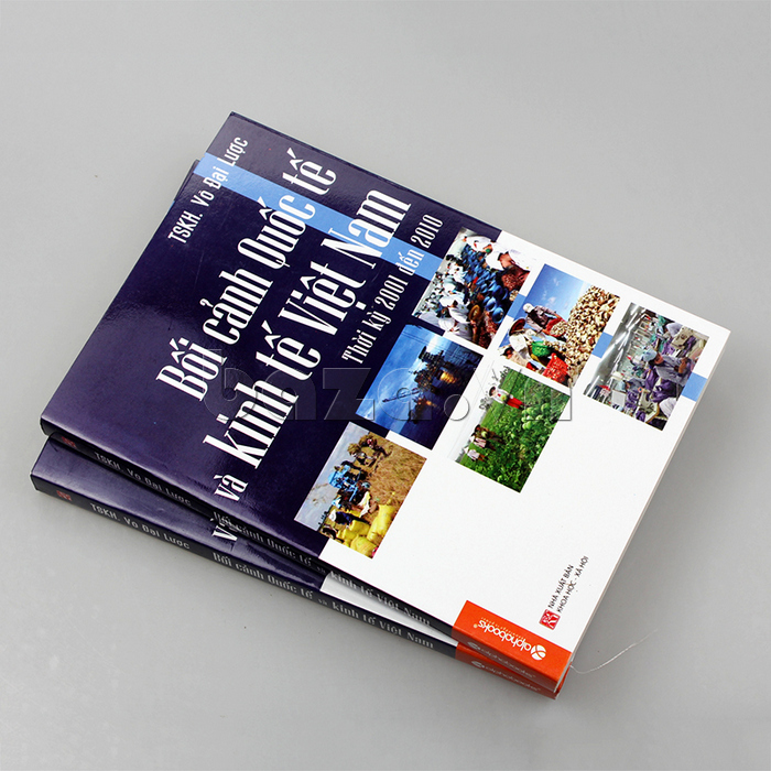 Cuốn sách cung cấp rất nhiều thông tin giá trị và phân tích sâu sắc về tình hình kinh tế Việt Nam