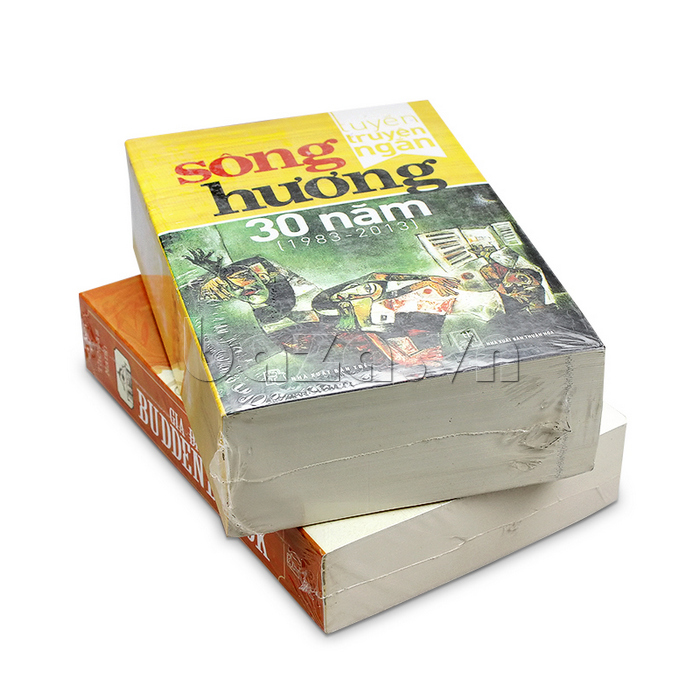 Sách văn học tiểu thuyết: Tuyển truyện ngắn - Sông Hương 30 năm (1983-2013)
