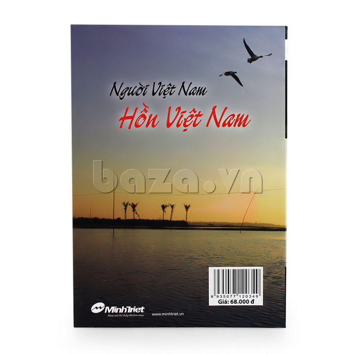 Người Việt Nam hồn Việt Nam sách hay