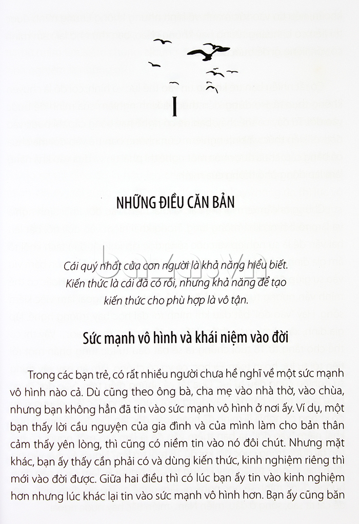 Người Việt Nam hồn Việt Nam sách ấn tượng