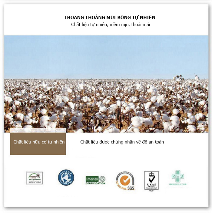 Đồ lót nam " Quần lót nam tam giác cạp trễ U&I U202L   " được làm từ chất liệu cotton tự nhiên