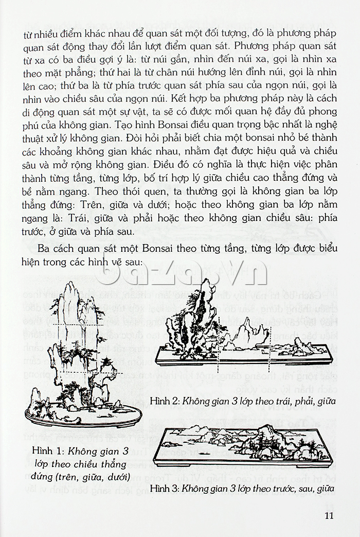 Nghệ thuật Bonsai trong cuốn sách "Những kiệt tác bon sai thế giới"