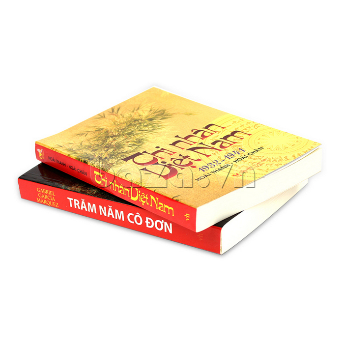sách văn hóa xã hội " Thi nhân Việt Nam "  Hoài Thanh - Hoài Chân văn sách hay nên đọc