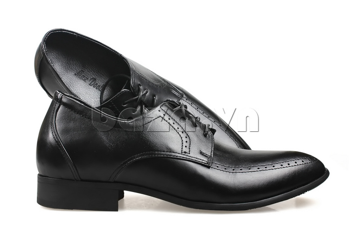 Giày tăng chiều cao Max Dovin AG150 viền đục lỗ chất liệu cao cấp 