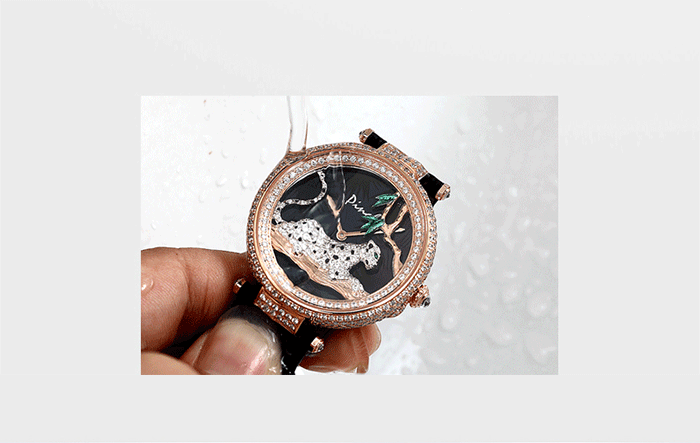 Đồng hồ nam " Đồng hồ nữ thời trang Pinch L9508  "   khả năng chịu nước chuyên nghiệp