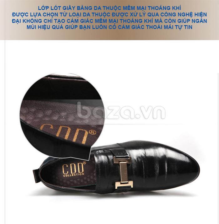 Logo của giày được in trong miếng lót giày